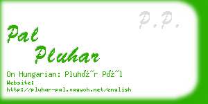 pal pluhar business card